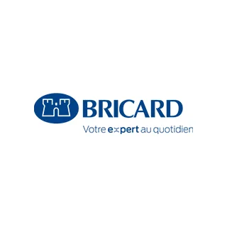 Marque logo Bricard